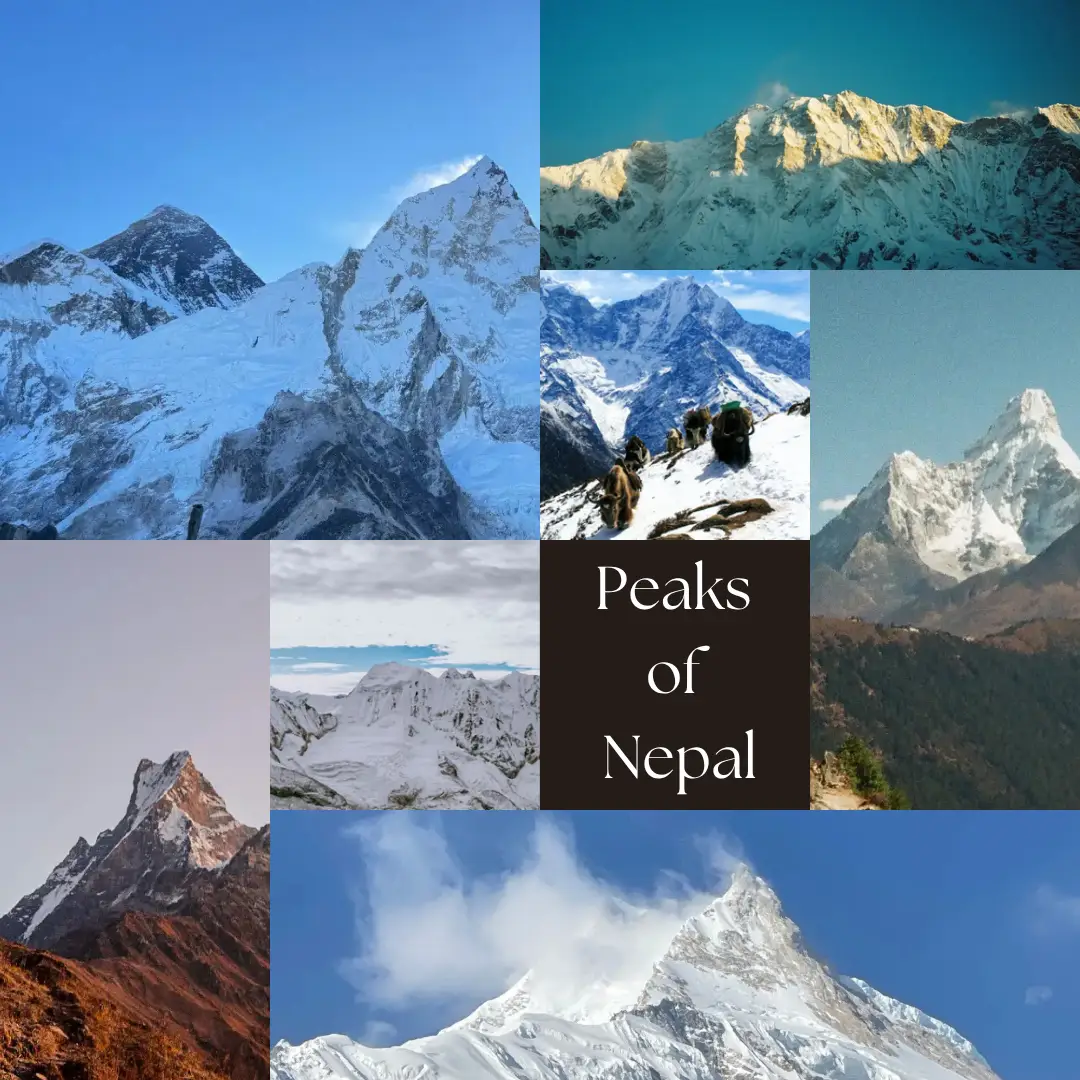 7 Peaks of Nepal | One View Stands Above the Rest