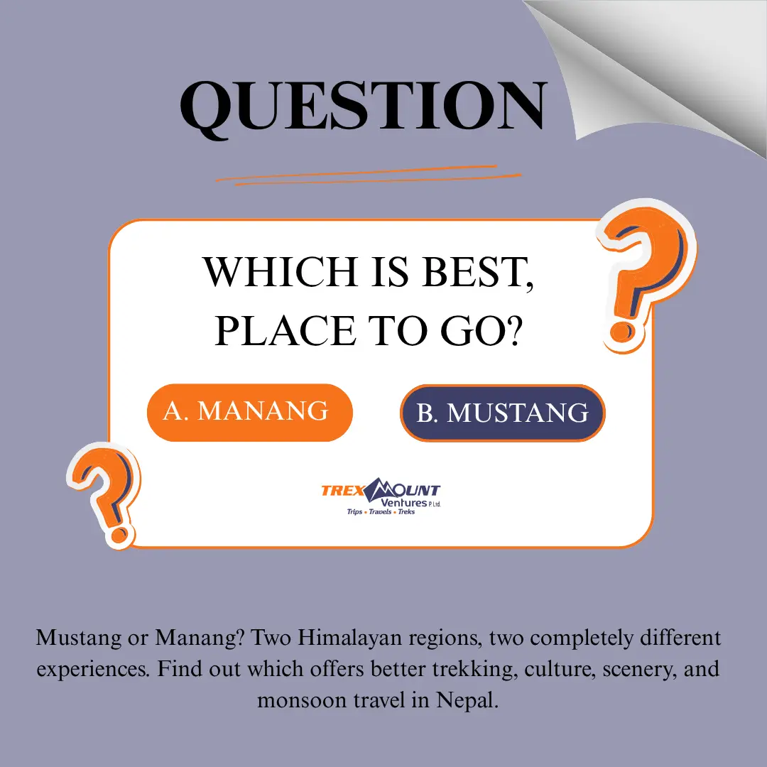 Which is best, Mustang or Manang? | Trexmount Ventures