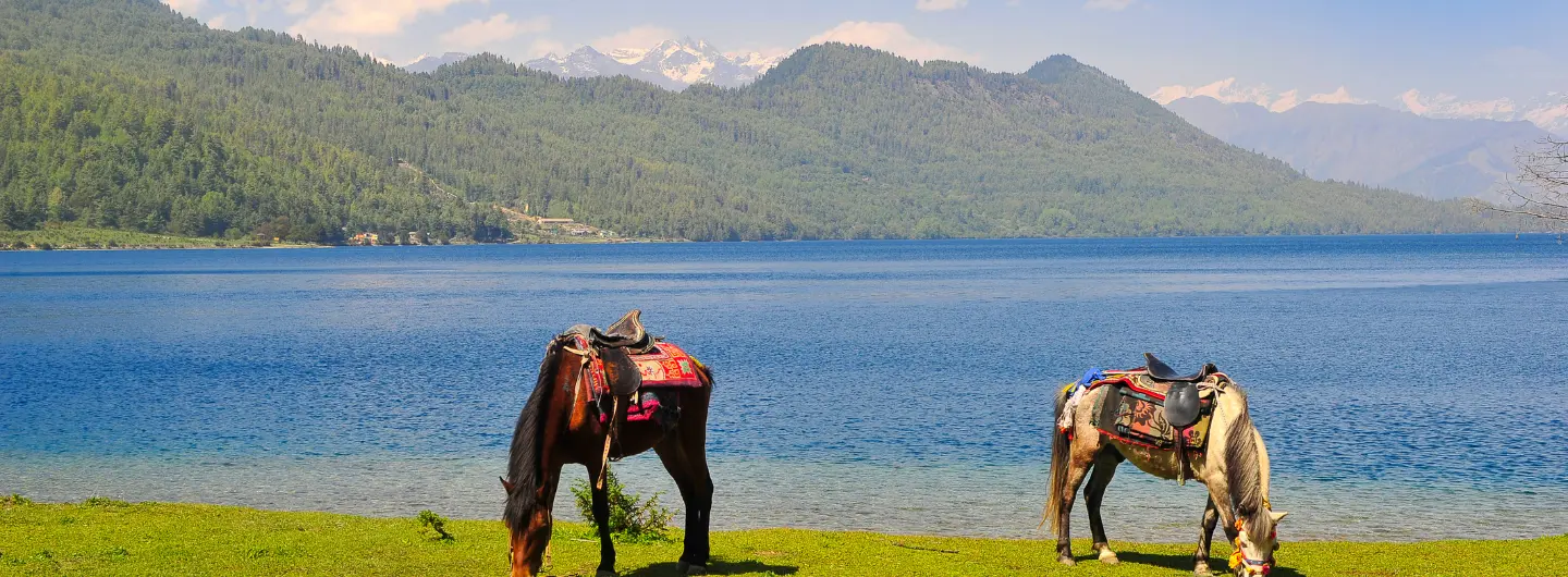 Rara Tal Nepal: Everything You Need To Know Before You Go