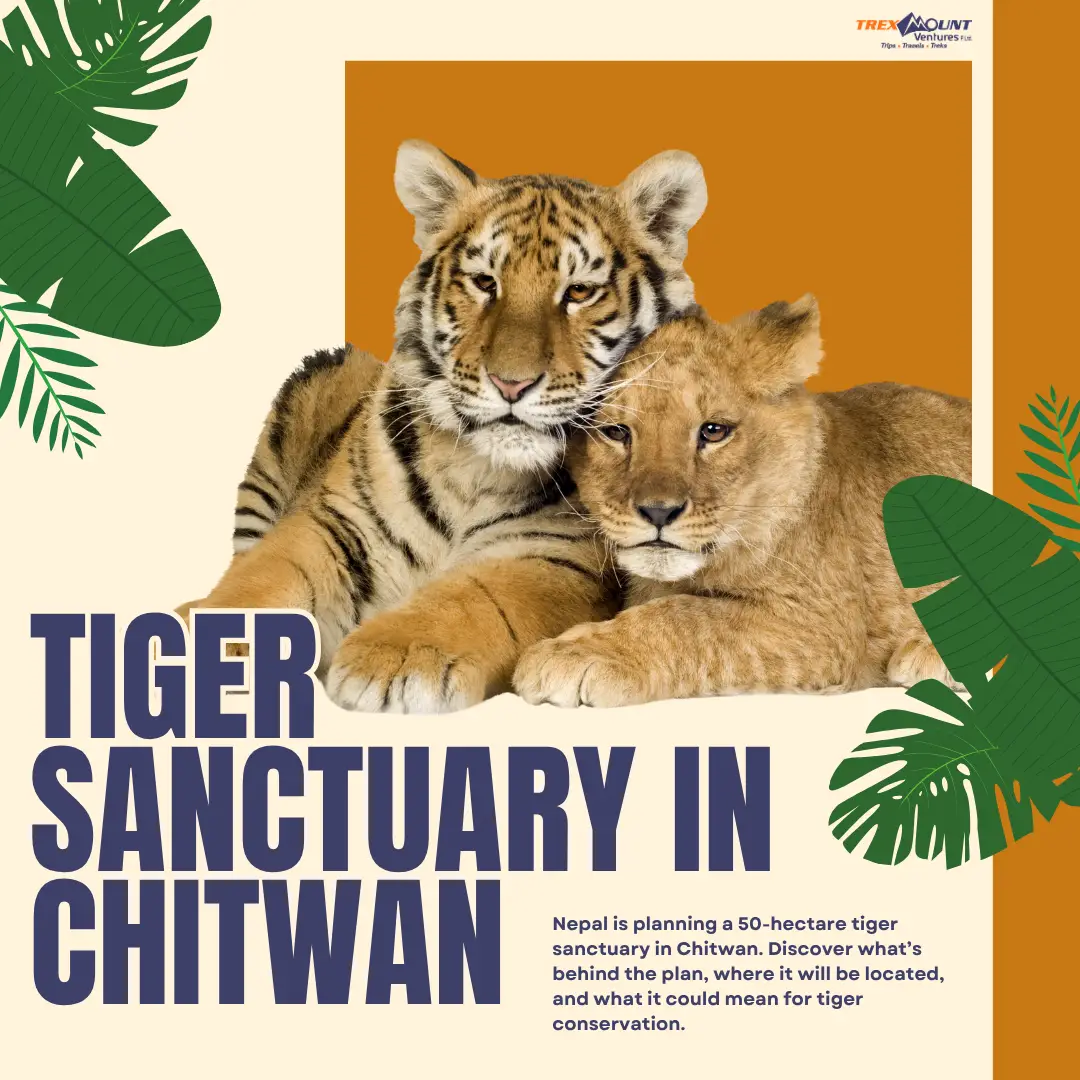 Tiger Sanctuary in Chitwan