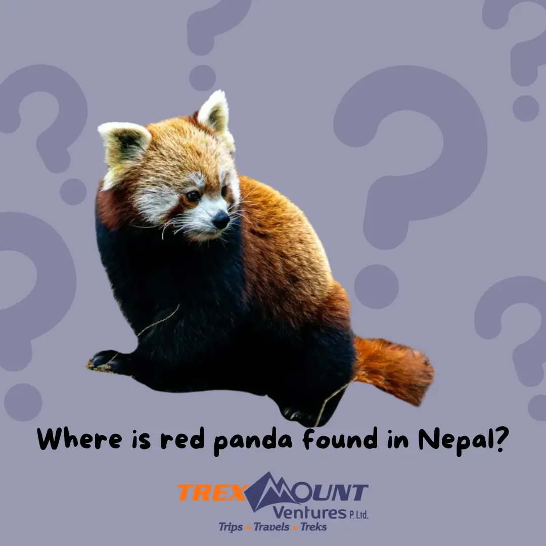 Where is red panda found in Nepal