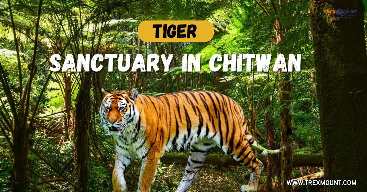 Nepal’s New 50-Hectare Tiger Sanctuary in Chitwan | Details