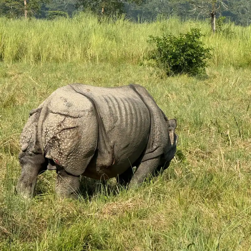 Village & Agro Tourism in Nepal