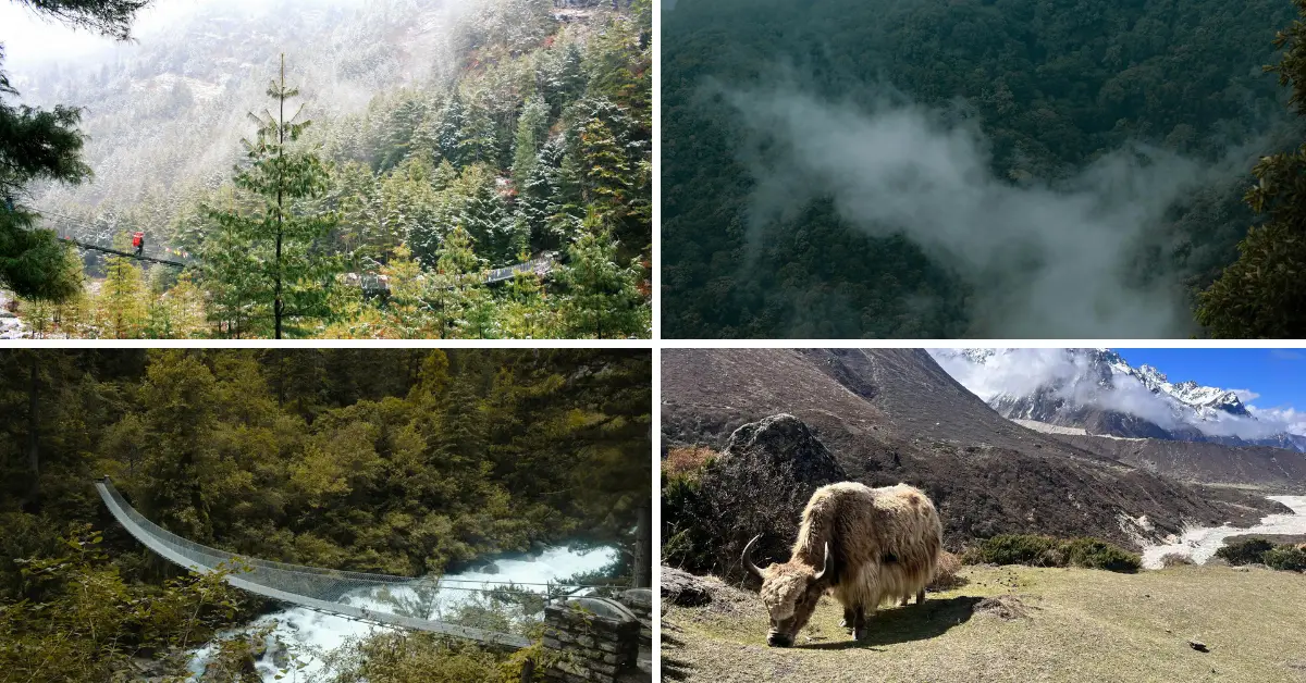 wildlife in nepal