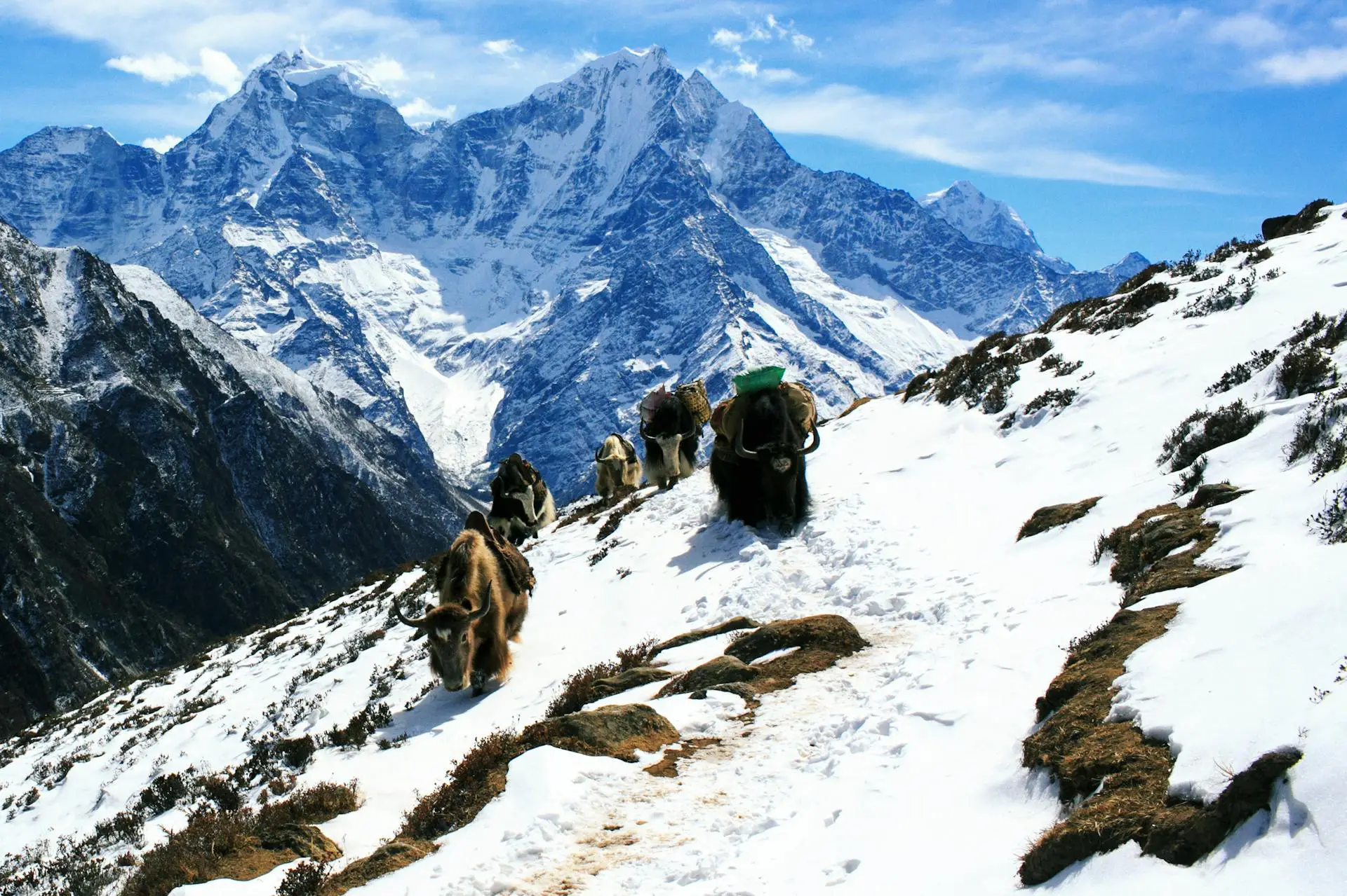 mera peak climbing