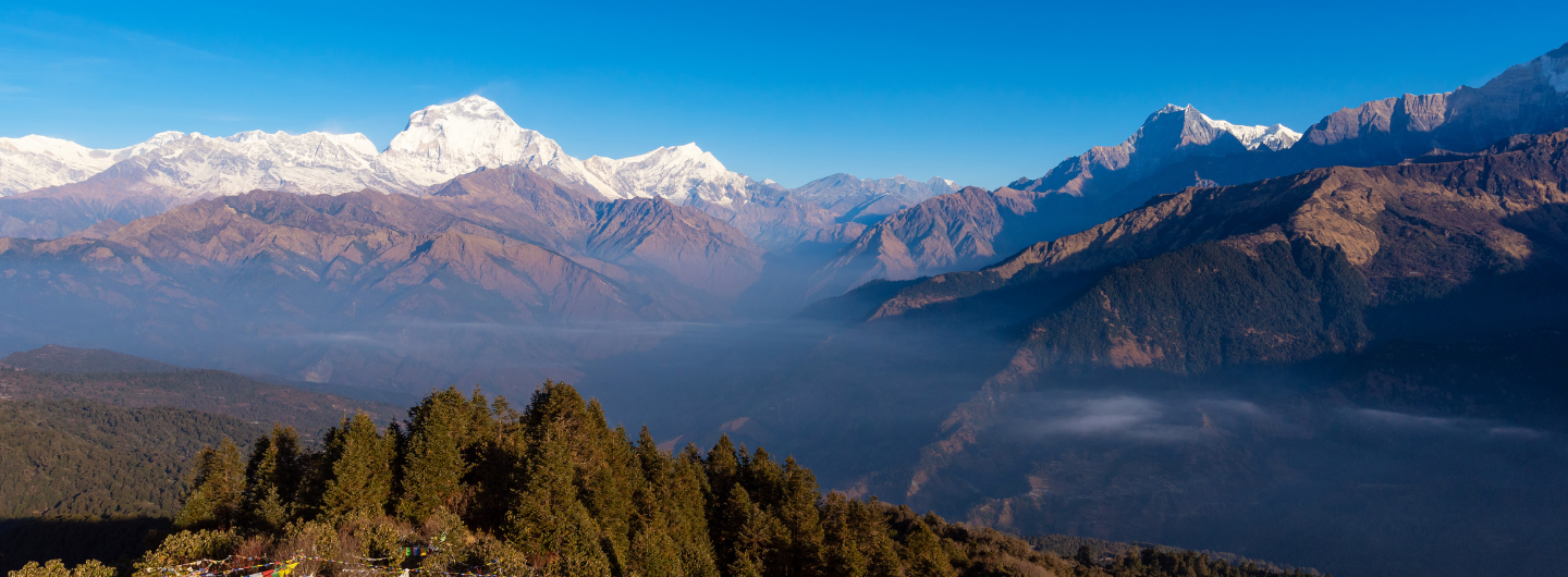Poon Hill Trek