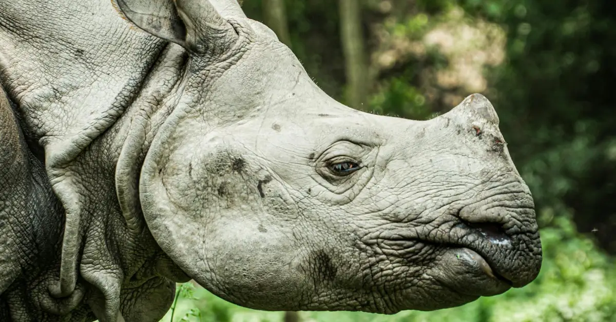 trip route map for Chitwan National Park Tour 