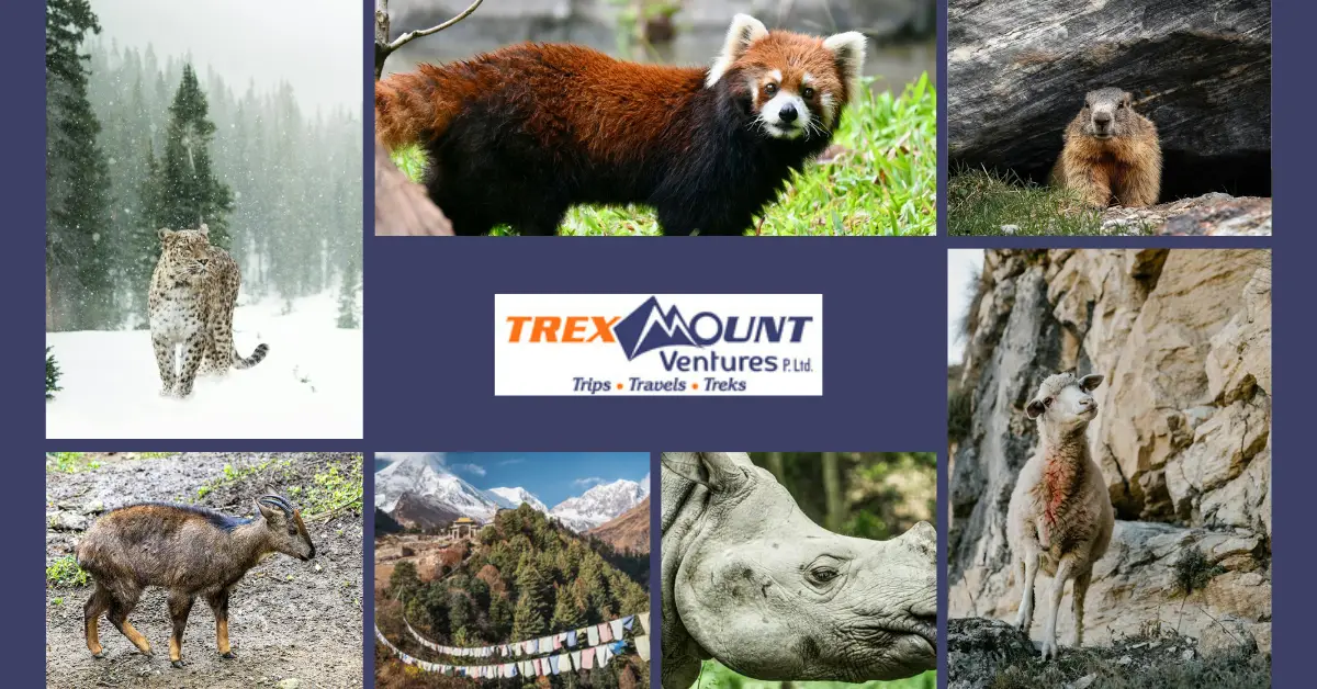 trip route map for Mountain Wildlife in Nepal | Home Stay in Nepal 