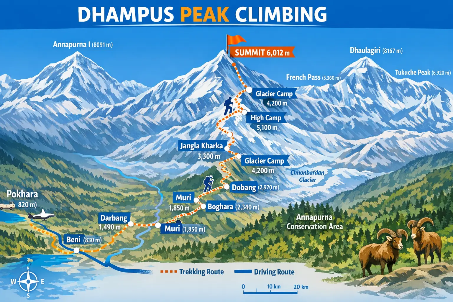 trip route map for Dhampus Peak Climbing 
